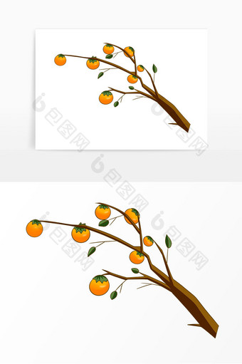 秋季果实柿子树插画图片