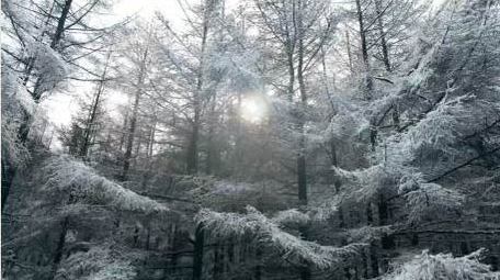 自然简约航拍冬天雪景雾凇景色片头片尾