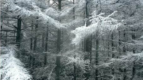 自然简约航拍冬天雪景雾凇景色片头片尾