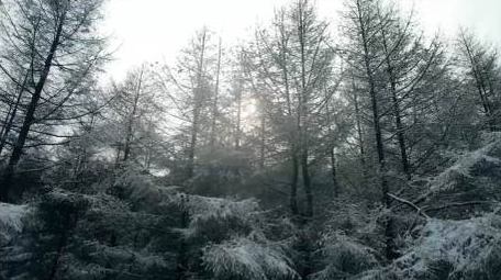自然简约航拍冬天雪景雾凇景色片头片尾