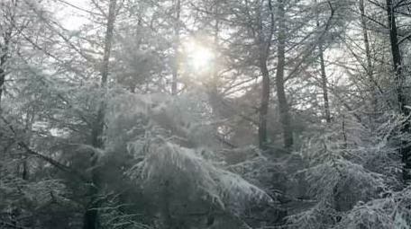 自然简约航拍冬天雪景雾凇景色片头片尾