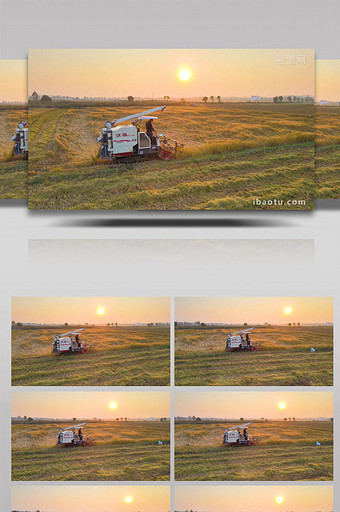 丰收季收割机收割稻子4K航拍图片
