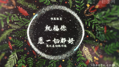 美丽圣诞元素装饰花环文本标题动画AE模板