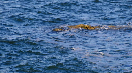 自然海洋海面海浪冲刷拍打礁石大海海水实拍
