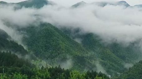自然清新安吉莫干山云海实拍航拍