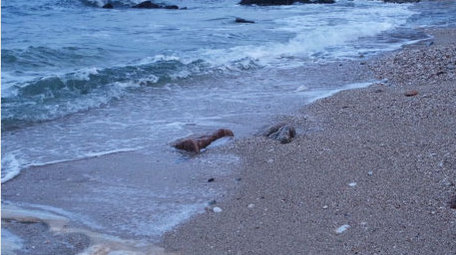 大海海浪海边礁石周末休闲自然海洋实拍