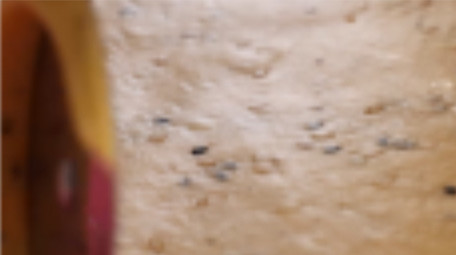 家庭手工麻花制作实拍