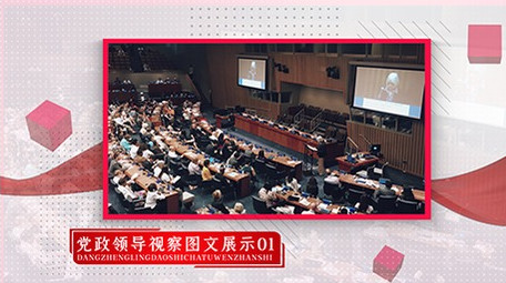 简洁大气党政图文照片展示AE模板