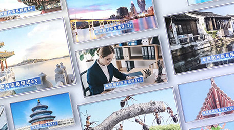 大气明亮商务多图照片墙展示AE模板