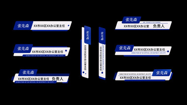 简约风大气蓝色人名字幕条花字模板