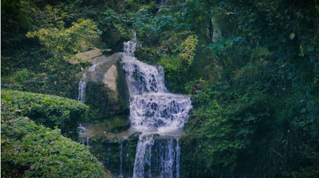 森林中溪流岩石流水自然写意4K实拍