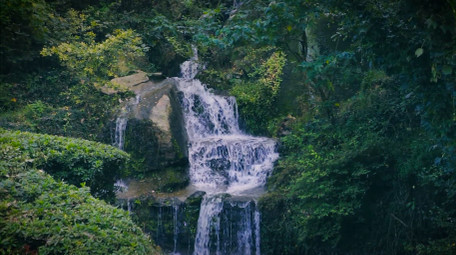 森林中溪流岩石流水自然写意4K实拍