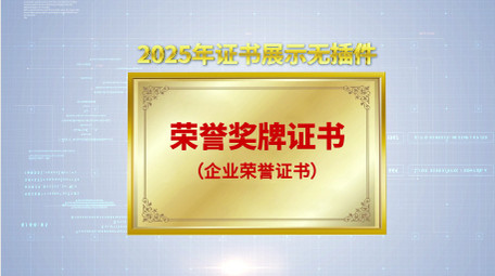 震撼立体奖牌证书展示金色