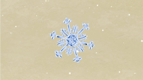 二十四节气小雪篇AE图文模板