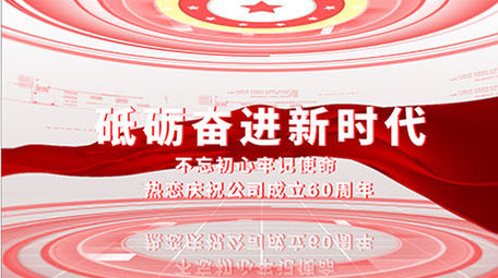 党政图文分类ae模板