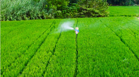 水稻田打农药乡村绿色农田4K航拍
