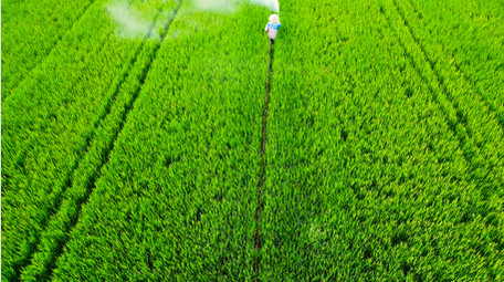 水稻田打农药乡村绿色农田4K航拍