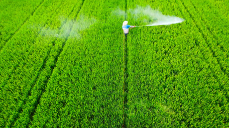 水稻田打农药乡村绿色农田4K航拍