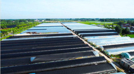 行业场景农业塑料大棚蔬菜种植4K航拍