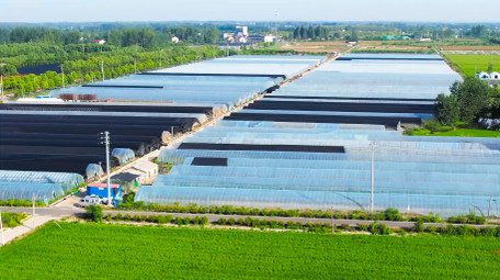 行业场景农业塑料大棚蔬菜种植4K航拍