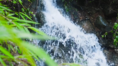 唯美流水升格春天意境实拍视频