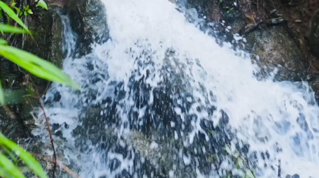 唯美流水升格春天意境实拍视频