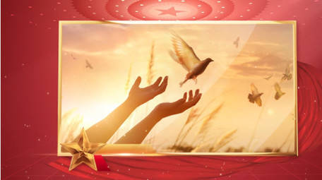 大气红色鎏金党政图文AE模板