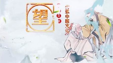 大气中医传统文化水墨片头模板