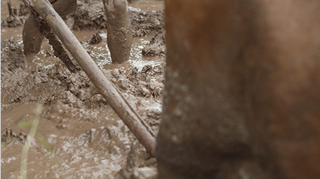 <strong>乡村</strong>生活传统耕田实拍