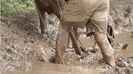 <strong>乡村</strong>生活传统耕田实拍
