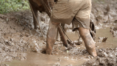 <strong>乡村</strong>生活传统耕田实拍