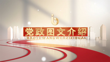 简约风白色党政图文模板