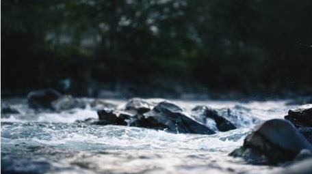 自然森林小型瀑布水流升格实拍视频