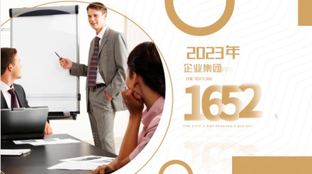 企业年报数据图文快闪AE模板