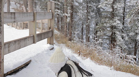 东方人像女孩雪地打雪仗开心玩耍实拍