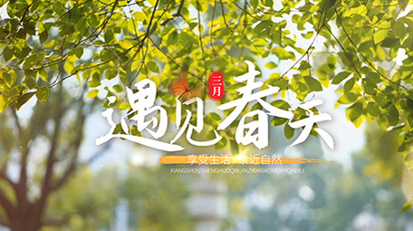 春天标题唯美创意质感片头