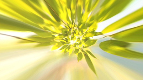 春天标题唯美创意质感片头