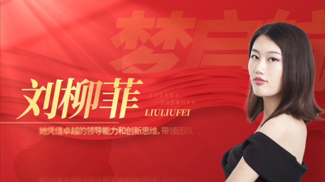 <strong>党政</strong>红金人物介绍<strong>图文</strong>AE模板