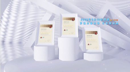 光影效果证书文件展示AE模板