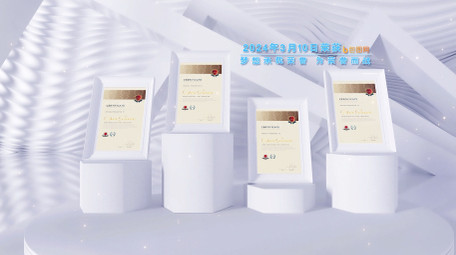 光影效果证书文件展示AE模板