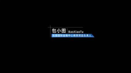 简约人物介绍字幕模板
