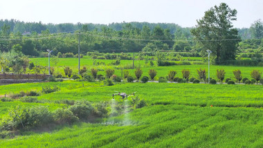 <strong>乡村</strong>农田无人机打农药科技农业4K航拍