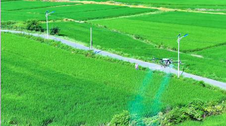 <strong>乡村</strong>农田无人机打农药科技农业4K航拍