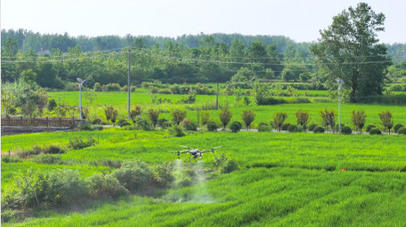<strong>乡村</strong>农田无人机打农药科技农业4K航拍