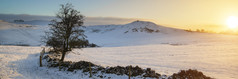 冬季日出雪景摄影图