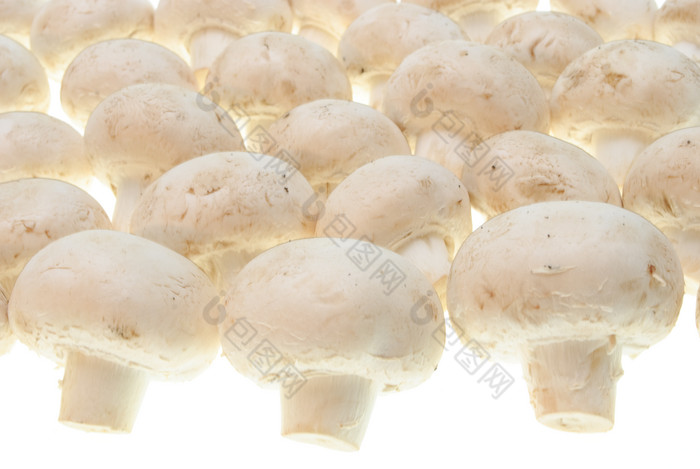 新鲜蔬菜口蘑蘑菇
