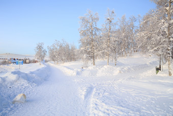 清新冬天美景摄影图