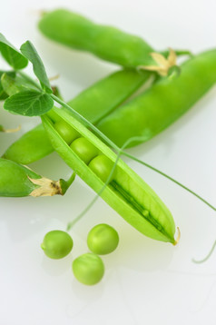 绿色调豌豆摄影图