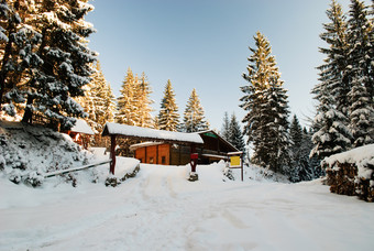 冬季房屋雪景松木