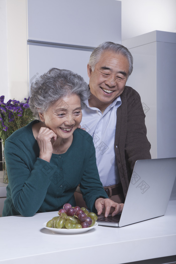玩电脑的老年人夫妻